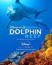 Watch Free Dolphin Reef Movies Full HD Soaper TV