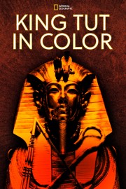 Watch Free King Tut In Color Movies Full HD Soaper TV