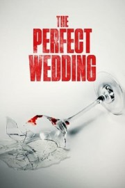 Watch Free The Perfect Wedding Movies Full HD Soaper TV