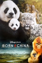 Watch Free Born in China Movies Full HD Soaper TV