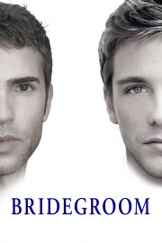 Watch Free Bridegroom Movies Full HD Soaper TV