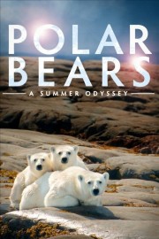 Watch Free Polar Bears: A Summer Odyssey Movies Full HD Soaper TV