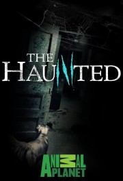 Watch Free The Haunted Movies Full HD Soaper TV