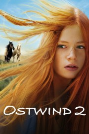 Watch Free Windstorm 2 Movies Full HD Soaper TV