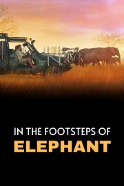 Watch Free In the Footsteps of Elephant Movies Full HD Soaper TV