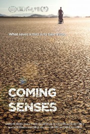 Watch Free Coming To My Senses Movies Full HD Soaper TV