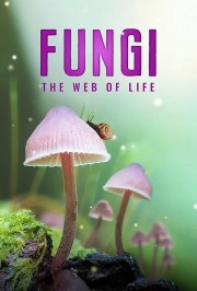 Watch Free Fungi: The Web of Life Movies Full HD Soaper TV