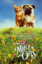 Watch Free The Adventures of Milo and Otis Movies Full HD Soaper TV