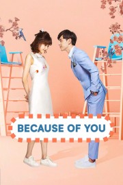 Watch Free Because of You Movies Full HD Soaper TV