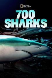 Watch Free 700 Sharks Movies Full HD Soaper TV