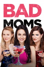 Watch Free Bad Moms Movies Full HD Soaper TV