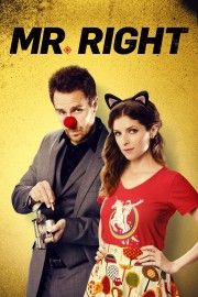 Watch Free Mr. Right Movies Full HD Soaper TV