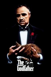 Watch Free The Godfather Movies Full HD Soaper TV