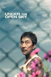 Watch Free Under the Open Sky Movies Full HD Soaper TV