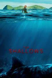 Watch Free The Shallows Movies Full HD Soaper TV