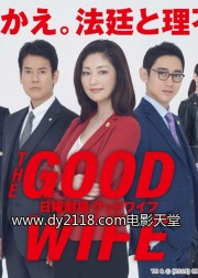 Watch Free The Good Wife Movies Full HD Soaper TV