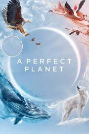 Watch Free A Perfect Planet Movies Full HD Soaper TV