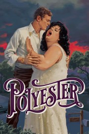 Watch Free Polyester Movies Full HD Soaper TV