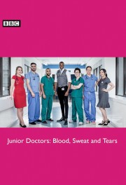 Watch Free Junior Doctors: Blood, Sweat and Tears Movies Full HD Soaper TV