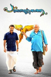 Watch Free Panchavarnathatha Movies Full HD Soaper TV