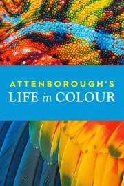 Watch Free Attenborough's Life in Colour Movies Full HD Soaper TV