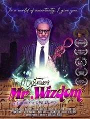 Watch Free The Mysterious Mr. Wizdom Movies Full HD Soaper TV