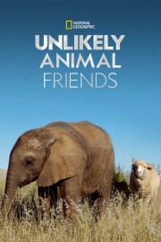 Watch Free Unlikely Animal Friends Movies Full HD Soaper TV