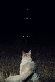 Watch Free It Comes at Night Movies Full HD Soaper TV