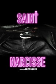 Watch Free Saint-Narcisse Movies Full HD Soaper TV