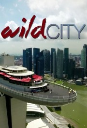 Watch Free Wild City Movies Full HD Soaper TV