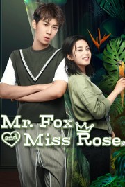 Watch Free Mr. Fox and Miss Rose Movies Full HD Soaper TV