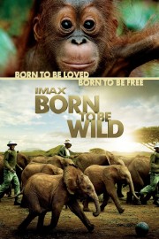 Watch Free Born to Be Wild Movies Full HD Soaper TV