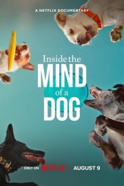 Watch Free Inside the Mind of a Dog Movies Full HD Soaper TV