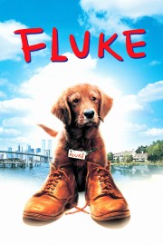 Watch Free Fluke Movies Full HD Soaper TV