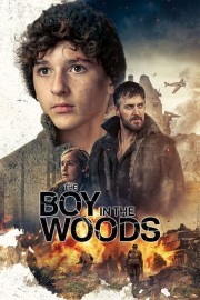 Watch Free The Boy in the Woods Movies Full HD Soaper TV