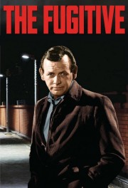 Watch Free The Fugitive Movies Full HD Soaper TV