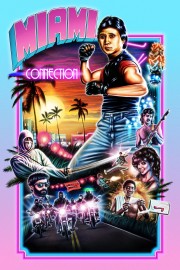 Watch Free Miami Connection Movies Full HD Soaper TV