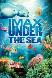 Watch Free Under the Sea 3D Movies Full HD Soaper TV