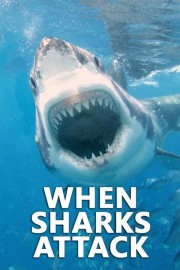 Watch Free When Sharks Attack Movies Full HD Soaper TV