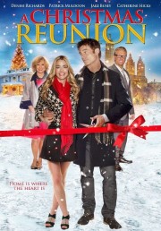 Watch Free A Christmas Reunion Movies Full HD Soaper TV