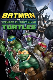 Watch Free Batman vs. Teenage Mutant Ninja Turtles Movies Full HD Soaper TV