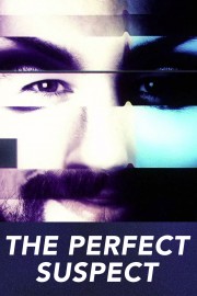 Watch Free The Perfect Suspect Movies Full HD Soaper TV