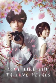 Watch Free Love Like the Falling Petals Movies Full HD Soaper TV