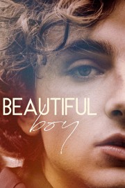 Watch Free Beautiful Boy Movies Full HD Soaper TV