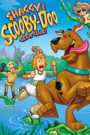 Watch Free Shaggy & Scooby-Doo Get a Clue! Movies Full HD Soaper TV