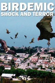 Watch Free Birdemic: Shock and Terror Movies Full HD Soaper TV