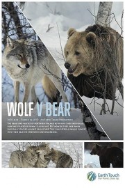 Watch Free Wolf vs Bear Movies Full HD Soaper TV