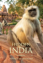 Watch Free Hidden India Movies Full HD Soaper TV