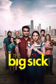 Watch Free The Big Sick Movies Full HD Soaper TV