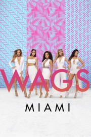 Watch Free WAGS Miami Movies Full HD Soaper TV